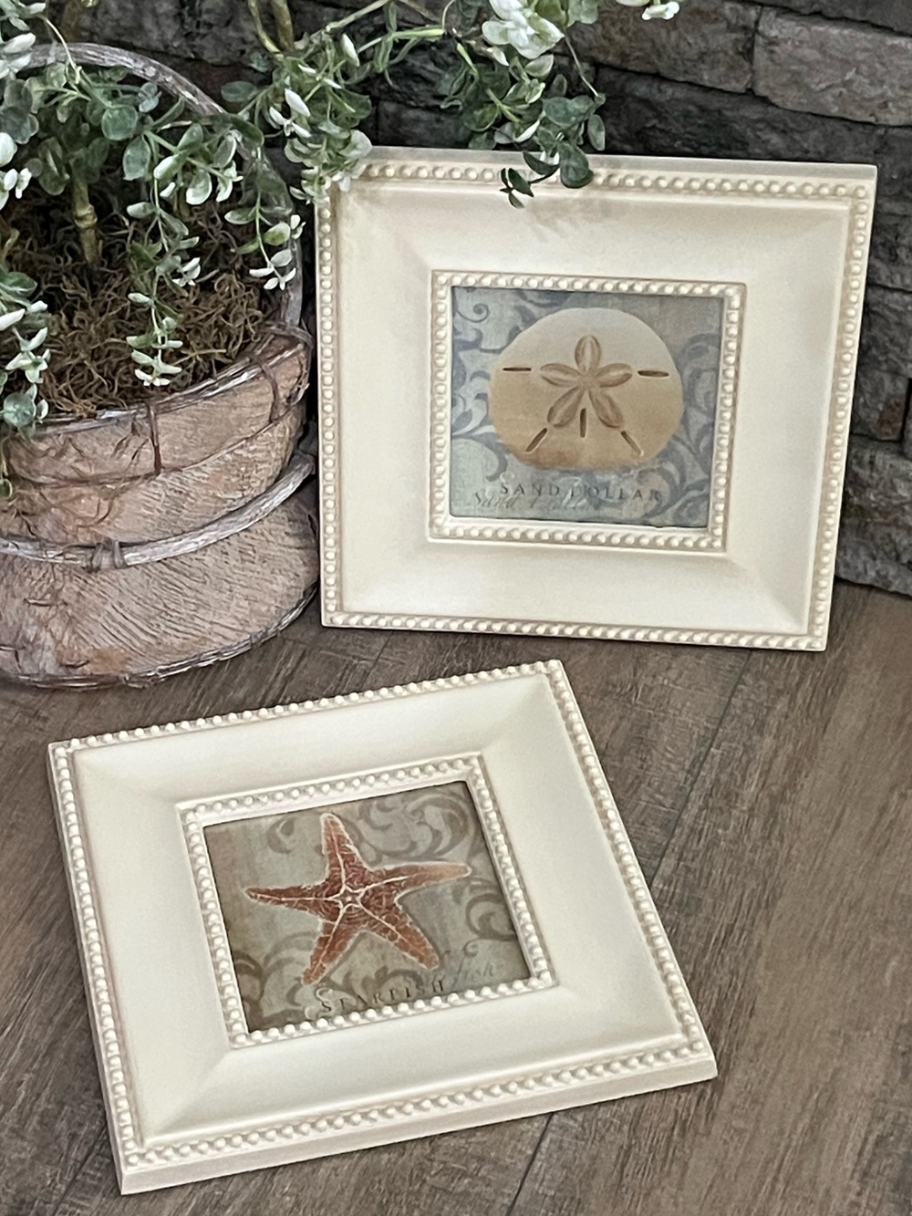 Bed Bath & Beyond Cream Coastal Sand Dollar & Starfish Wall Art Set ~Sea Swirl